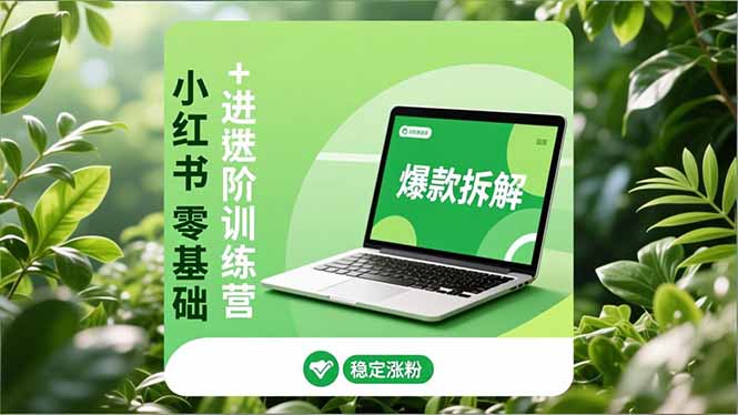 小红书零基础+高阶训练营：安全养号、爆款拆解、长效运营，实现稳定涨粉与变现-hl998