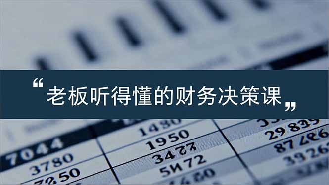 老板能听得懂的财务决策课，报表解读、数据洞察、风险识别，用财务驱动业务增长-hl998