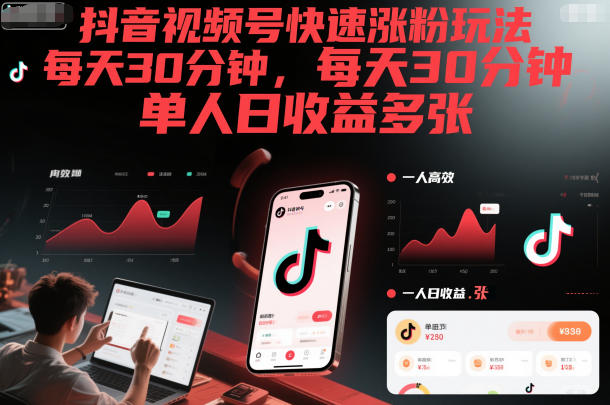 抖音视频号快速涨粉玩法，每天30分钟，单人日收益多张-hl998