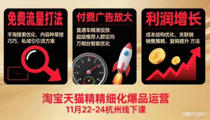 淘宝天猫精细化爆品运营11月22-24杭州线下课，免费流量打法+付费广告放大+利润增长(音频+文档)-hl998