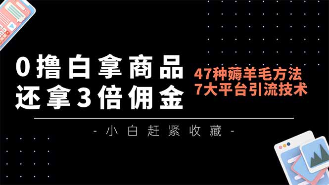 0撸白拿商品，还拿3倍佣金，47种薅羊毛方法，7大平台全方位引流技术教学，精专月入过万-hl998