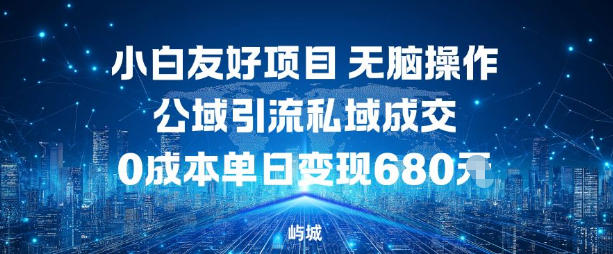 小白友好项目，无脑操作，公域引流私域成交，0成本单日变现680米-hl998