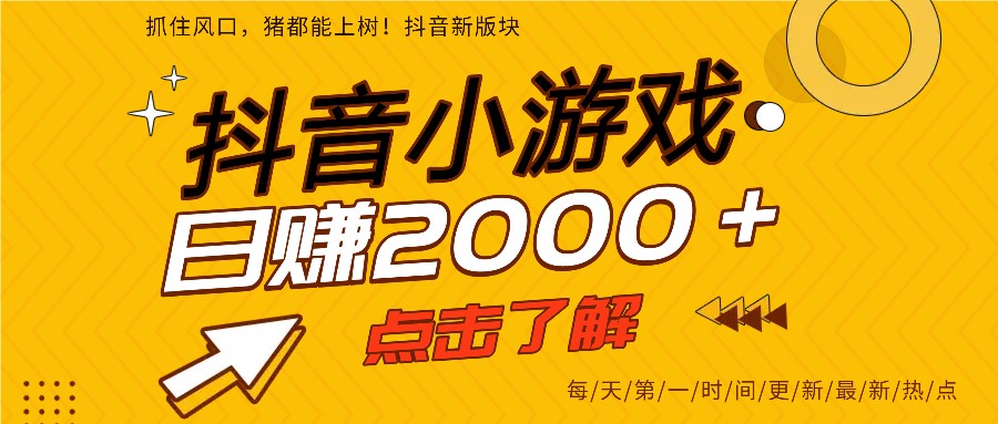 5年爆火的抖音小游戏项目，一部手机日入2000+-hl998