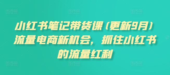 小红书笔记带货课(更新25年12月)流量电商新机会，抓住小红书的流量红利-hl998