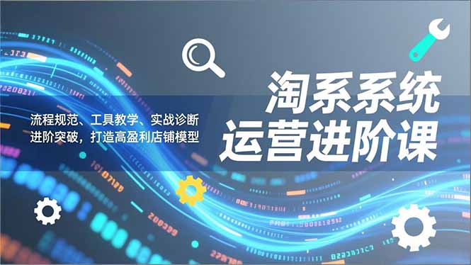 淘系系统运营进阶课2.0，流程规范、工具教学、实战诊断，进阶突破，打造高盈利店铺模型-hl998
