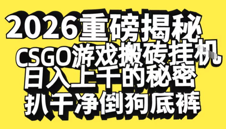 2026开年重磅解密，CSGO游戏搬砖挂G日入1k+的秘密，把倒狗的底裤扒干【揭秘】-hl998