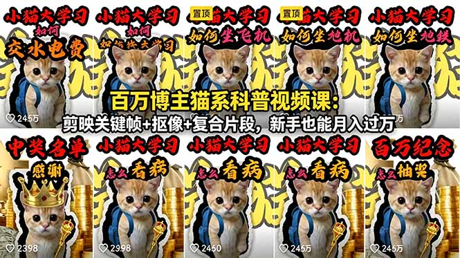 百万博主猫系科普视频课：剪映关键帧+抠像+复合片段，新手也能月入过万-hl998