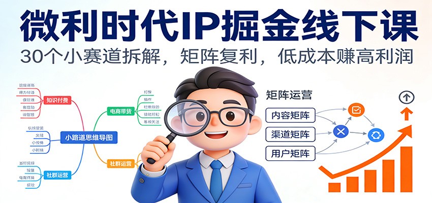 微利时代IP掘金线下课：30个小赛道拆解，矩阵复利，低成本赚高利润-hl998