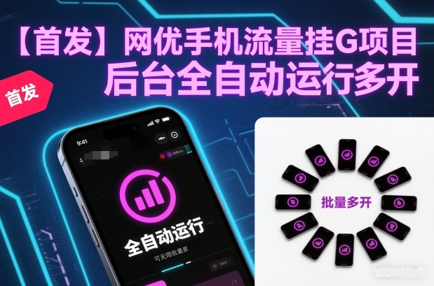 【首发】网优手机流量挂G项目，后台全自动运行，可无限批量多开【揭秘】-hl998