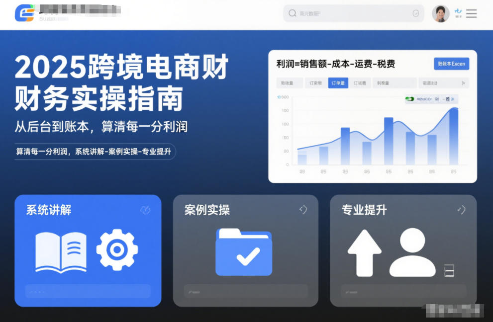 2025跨境电商财务实操指南，从后台到账本，算清每一分利润，系统讲解-案例实操-专业提升-hl998