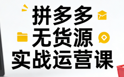 子枫老师·拼多多无货源实战运营课(更新12月)-hl998