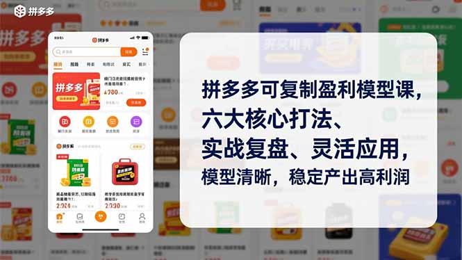 拼多多可复制盈利模型课，六大核心打法、实战复盘、灵活应用，模型清晰，稳定产出高利润-hl998