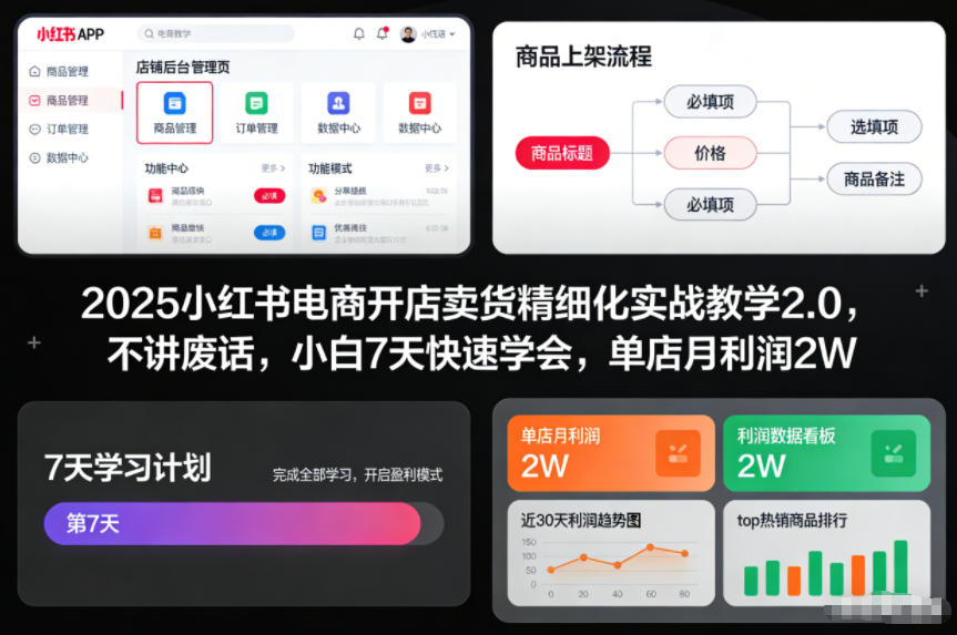 2025小红书电商开店卖货精细化实战教学2.0，不讲废话，小白7天快速学会，单店月利润2W-hl998