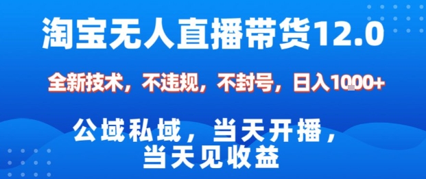 淘宝无人直播12.0，公域私域技术，不封号，不违规布局双十一流量风口，日入1k(独家技术)【揭秘】-hl998