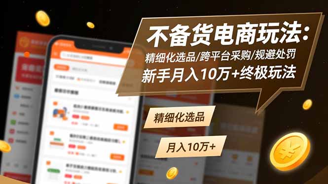 不备货电商玩法：精细化选品/跨平台采购/规避处罚，新手月入10万+终极玩法-hl998