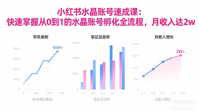 2025小红书水晶账号速成课：快速掌握从0-1水晶账号孵化全流程，月收入达2w-hl998
