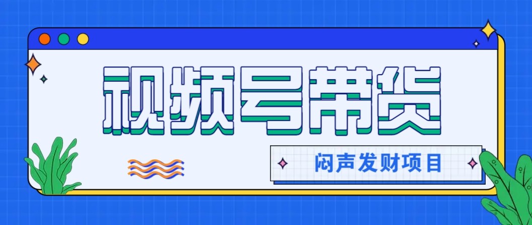 微信视频号带货项目，轻松日赚赚2000+，这个挣钱入口很多伙伴都在闷声发财-hl998