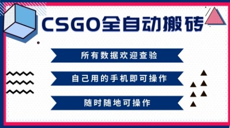 CSGO全自动搬砖，年底钱回家好项目，当天可拿到结果，新手小白轻松月入1W+【揭秘】-hl998