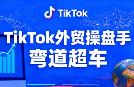 TikTok外贸操盘手(更新11月)-hl998