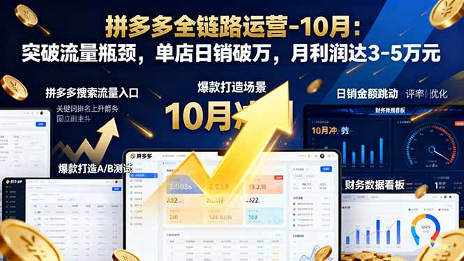 拼多多全链路运营-10月：突破流量瓶颈，单店日销破万，月利润达3-5万元-hl998
