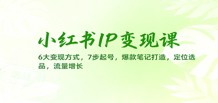 小红书IP变现课：6大变现方式，7步起号，爆款笔记打造，定位选品，流量增长-hl998