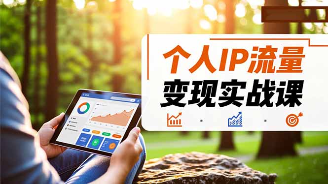 个人IP流量变现实战课，涵盖多平台引流、打造个人IP并实现稳定流量变现-hl998