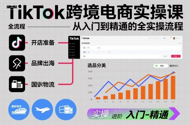 TikTok跨境电商实操课，从入门到精通的全实操流程-hl998