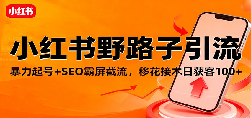 小红书野路子引流，暴力起号+SEO霸屏截流，移花接木日获客100+-hl998