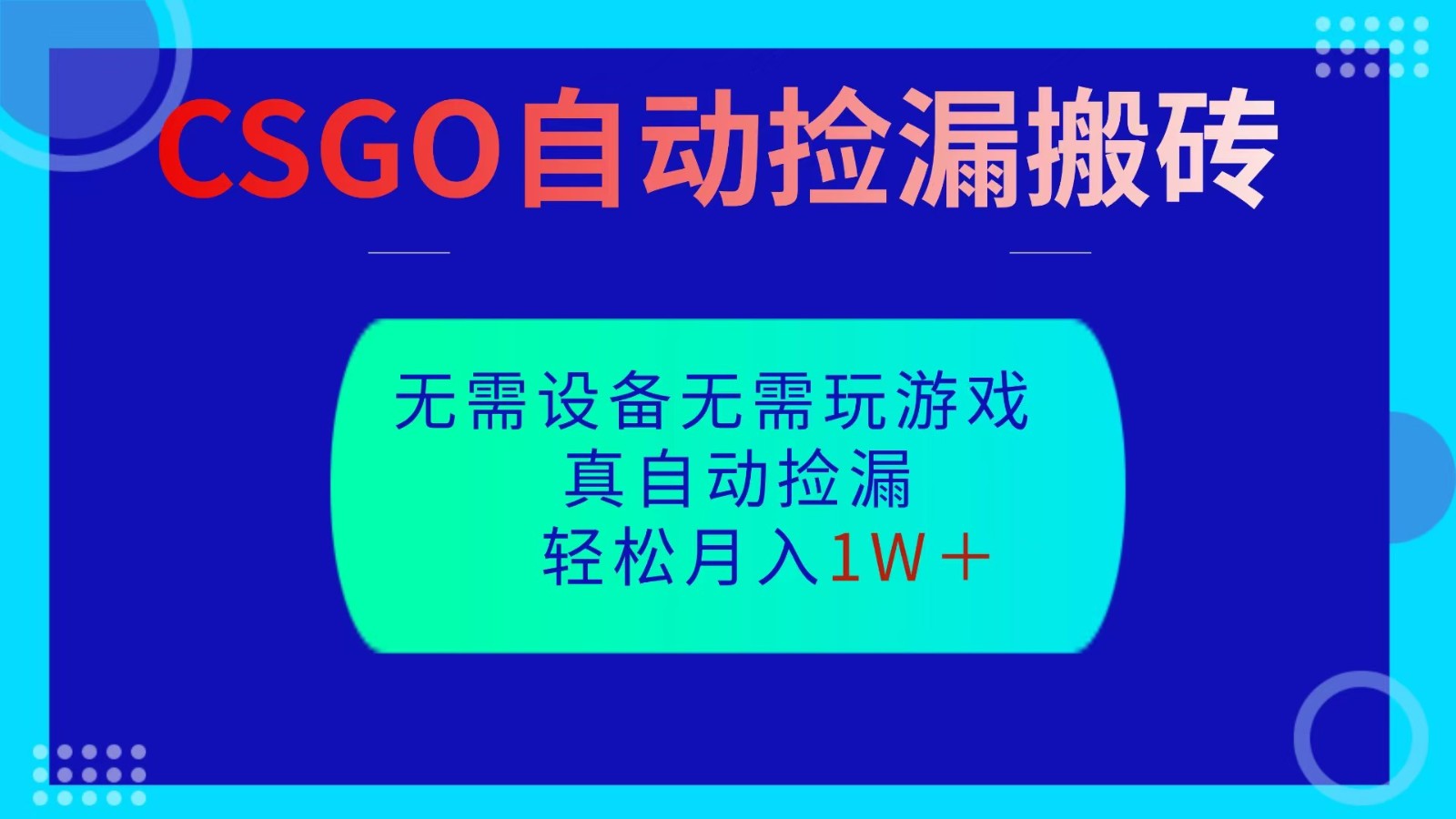CSGO自动捡漏搬砖，当天操作当天见结果，无需了解游戏，包教包会包落地-hl998