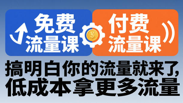 拼多多免费流量课+付费流量课，搞明白你的流量就来了，低成本拿更多流量-hl998