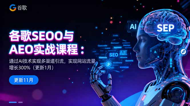 谷歌SEO与AEO实战课程：通过AI技术实现多渠道引流，实现网站流量增长300%-hl998