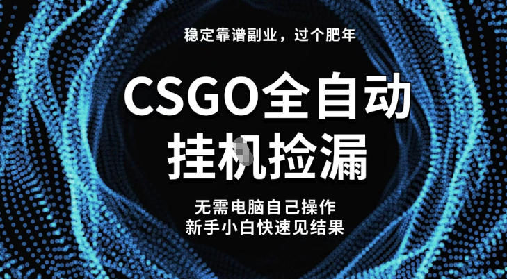 【稳定副业】全球最热门游戏CSGO全自动捡漏，最新玩法，新手小白日入5张+【揭秘】-hl998