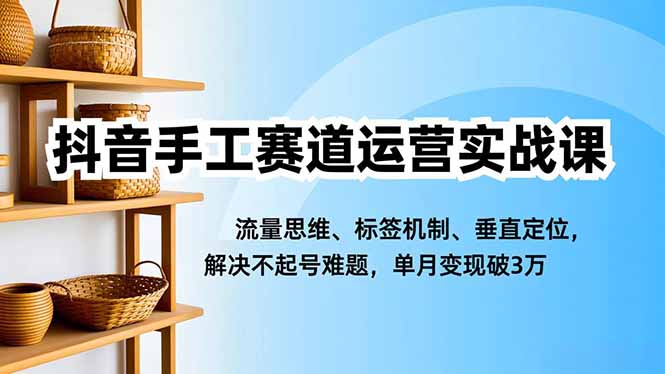 抖音手工赛道运营实战课，流量思维、标签机制、垂直定位，解决不起号难题，单月变现破3万-hl998