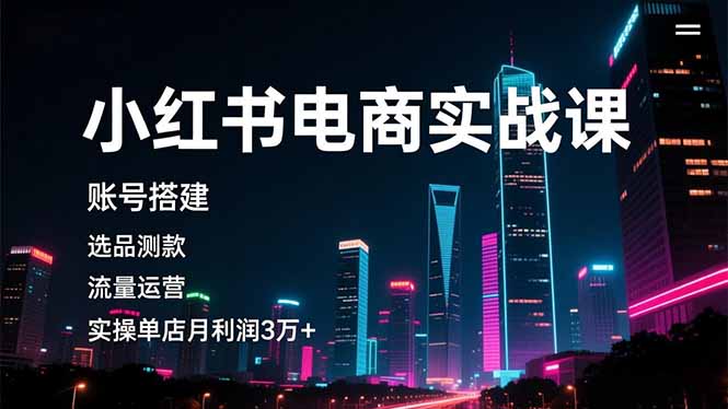 小红书电商实战课，账号搭建，选品测款，流量运营，实操月利润3万+-hl998