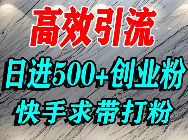怎么打创业粉？快手求带视角精准引流创业粉，宝妈、学生群体日进500+精准流量-hl998