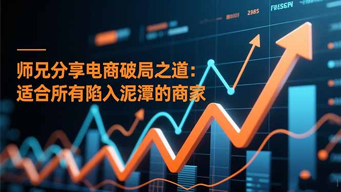 师兄分享电商破局之道：适合所有陷入泥潭的商家-hl998