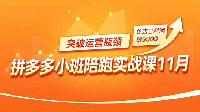 拼多多小班陪跑实战课11月，强付费矩阵、原价活动、暗券引流，突破运营瓶颈，单店日利润破5000-hl998