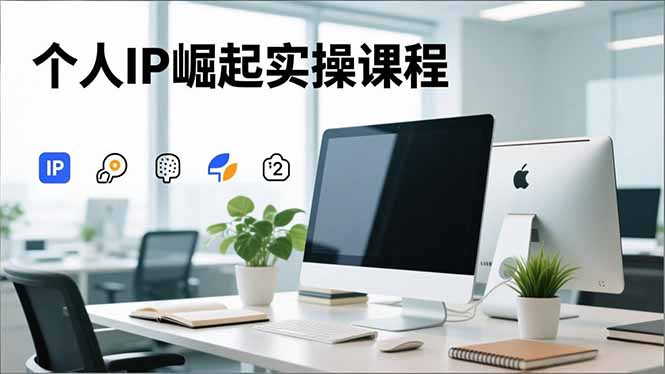 个人IP崛起实操课程，IP思维塑造+赛道精准调研+账号高变现搭建+内容创作-hl998