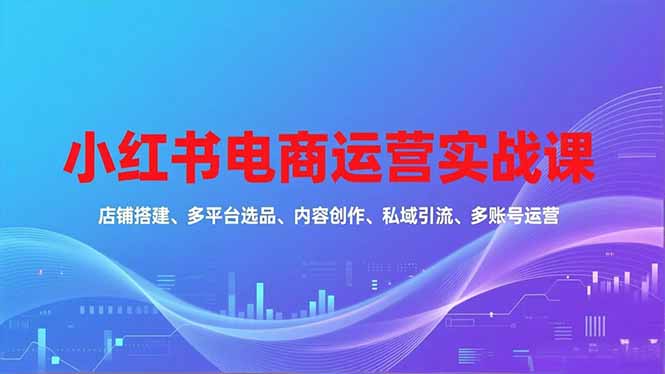 小红书电商运营实战课，店铺搭建、多平台选品、内容创作、私域引流、多账号运营等玩法-hl998