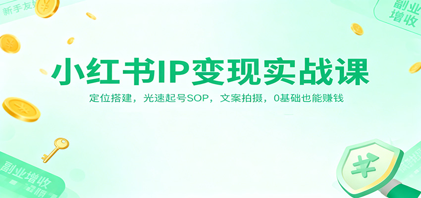 小红书IP变现实战课：定位搭建，光速起号SOP，文案拍摄，0基础也能赚钱-hl998