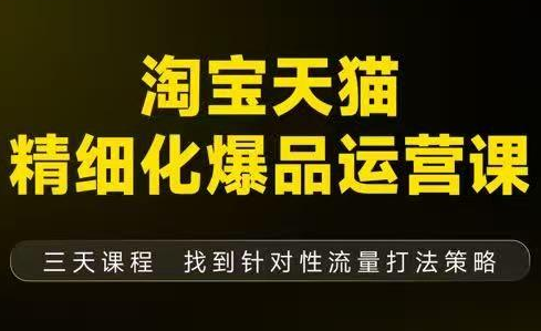猫课子幽·淘宝天猫精细化爆品运营【音频+字幕+文档】(9月12-14杭州线下课)-hl998