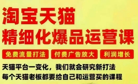 淘宝天猫精细化爆品运营课，免费流量打法-付费广告放大-利润增长-三大核心痛点，一次全部解决-hl998
