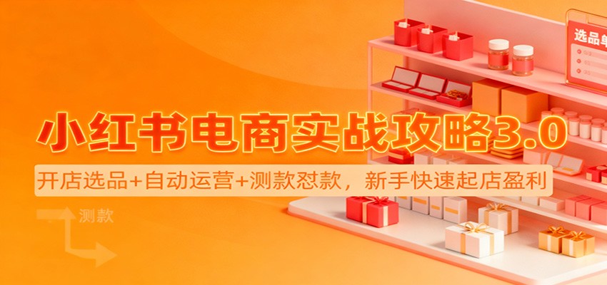 小红书电商实战攻略3.0：开店选品+自动运营+测款怼款，新手快速起店盈利-hl998