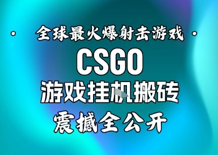 【年底大揭秘】基于全球最火爆的射击CSGO游戏挂G搬砖，日入5张+，震撼公开-hl998