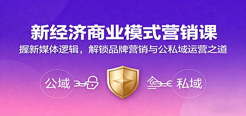 新经济商业模式营销课，握新媒体逻辑，解锁品牌营销与公私域运营之道-hl998