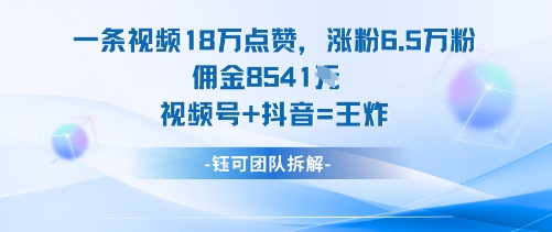 一条视频18W点赞，涨粉6.5W粉佣金8541米，视频号+抖音=王炸-hl998