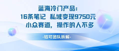 蓝海项目：16条笔记私域变现9750米小众赛道操作的人不多-hl998