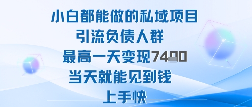 2025年小白都能做的私域项目引流负债人群最高一天变现1k+高变现难度低当天就能见到钱上手快-hl998
