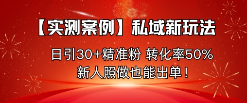 【实测案例】私域新玩法，日引30+精准粉，转化率50%，新人照做也能出单！-hl998