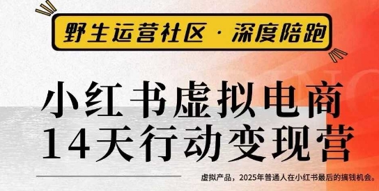 小红书虚拟电商14天变现训练营3.0，​虚拟产品，2025年普通人在小红书最后的搞钱机会-hl998